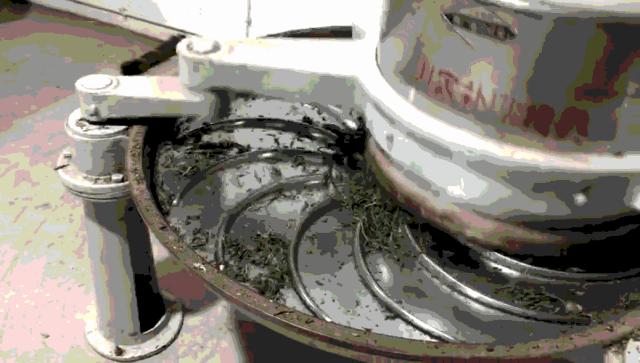 怎么区分青茶黄茶,茶分类黑白绿红