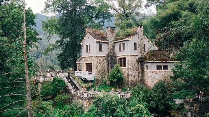 天目盏在日本的茶具,日本天目兔毫盏国宝