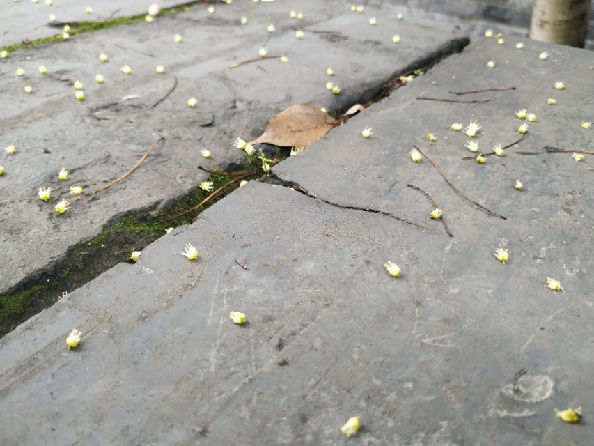 杭州古城门全景图,杭州十大古城门一日游