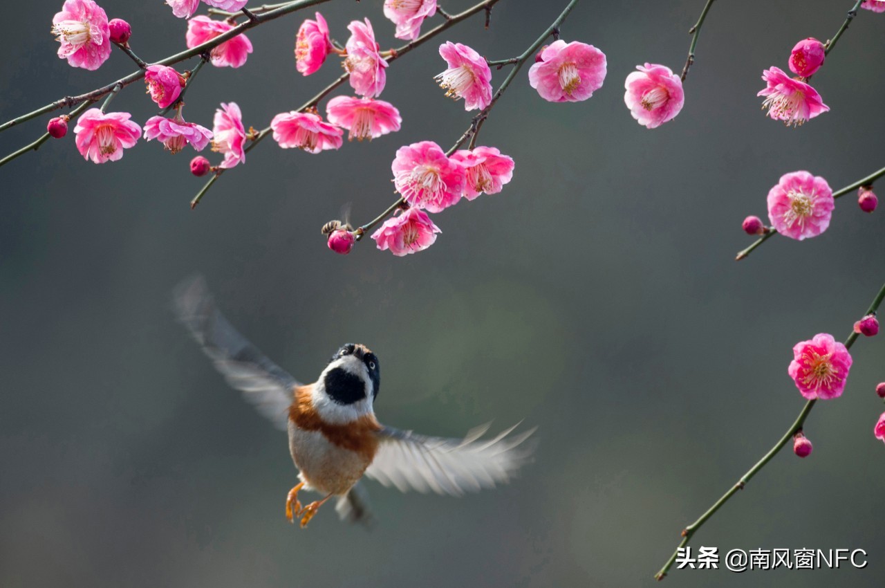 一个守护文脉的截面：省锡中纪事