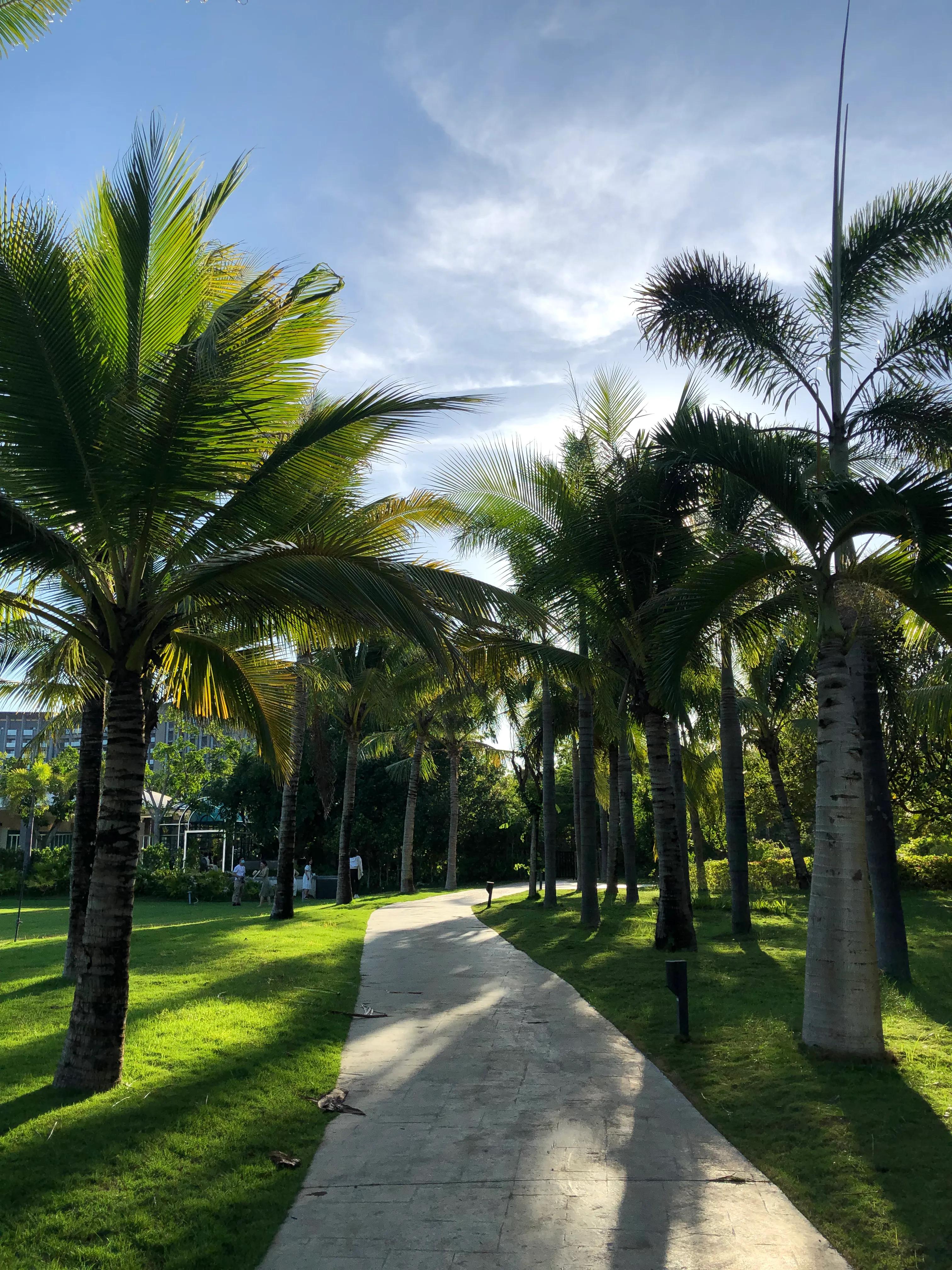 三亚度假长裙,三亚度假游记