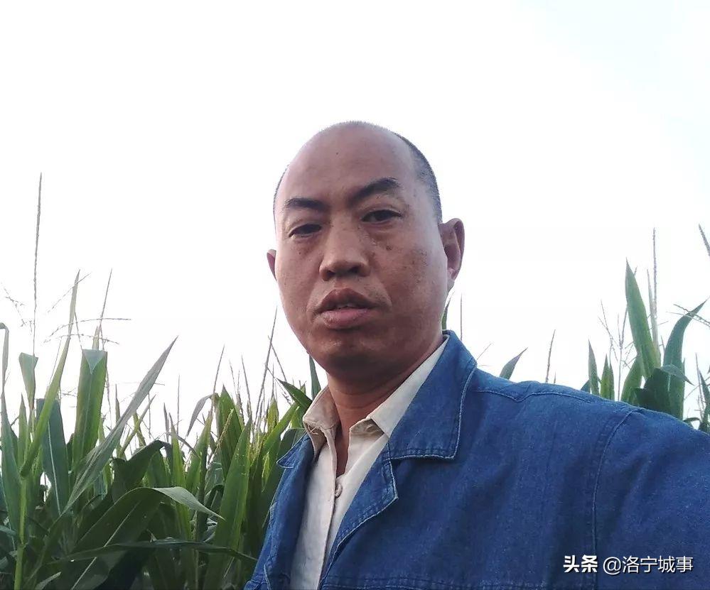 洛宁县河底镇程岭村和两程祠堂碑记