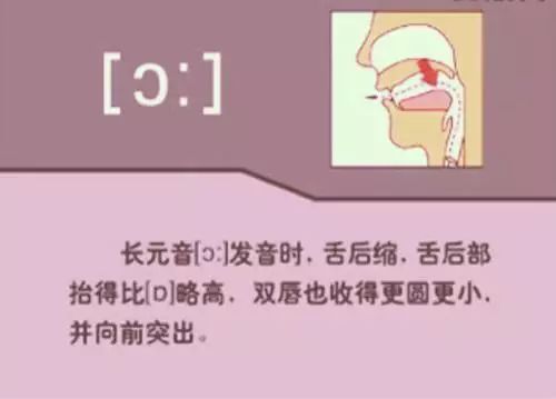 张中军音标发音48个教学视频合集,音标发音48个正确发音讲解视频