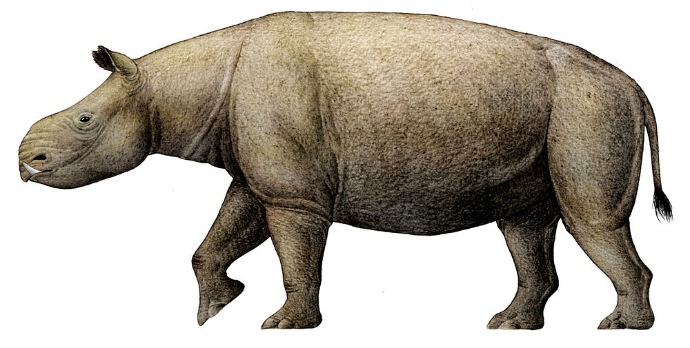 厚唇的人重感情吗,厚唇的微笑唇