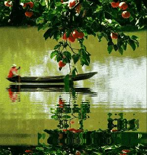 我决定我不再庸人自扰了经典语录,我决定不再前行的歌词