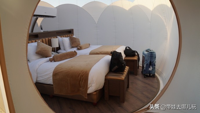 以色列约旦繁星之旅,约旦以色列之旅