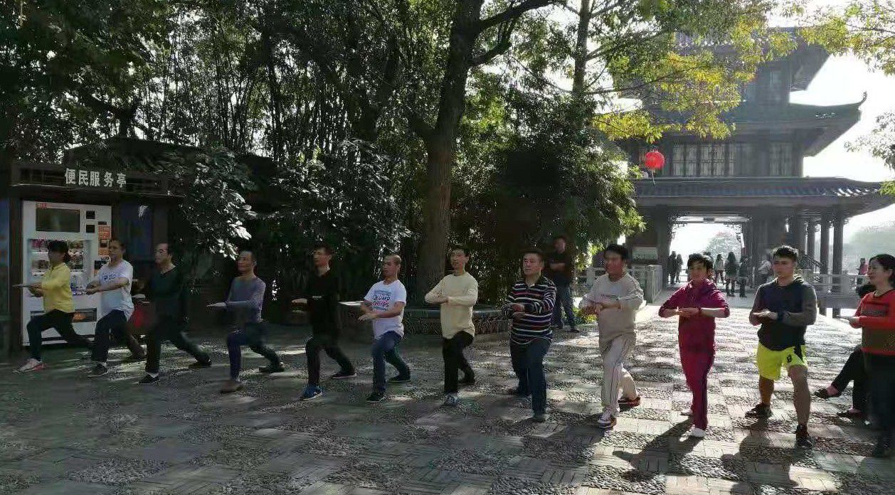 马步格挡弓步劈掌,马步推手掌