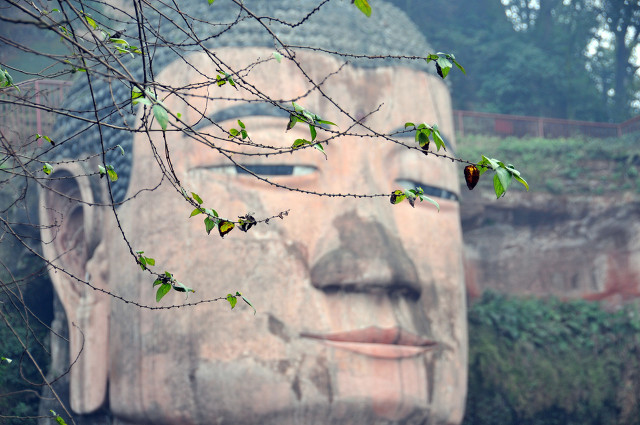 乐山大佛胸口出现裂痕,乐山大佛胸口出现开裂