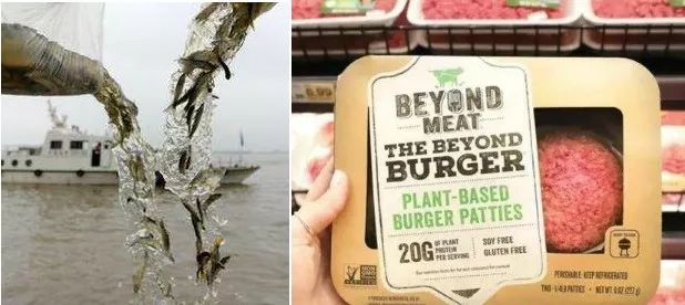 90后怀念儿时春节的味道,90后怀念儿时纯真视频