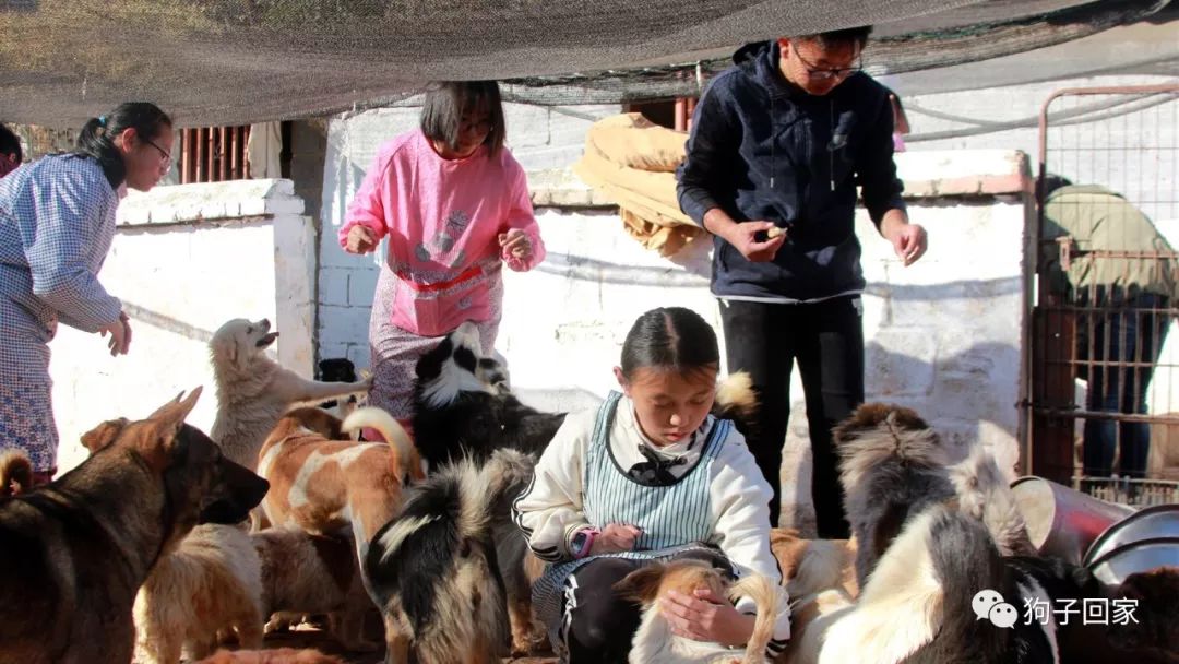 每一个生命都需要被尊重和善待,每一个生命都要被尊重被温暖