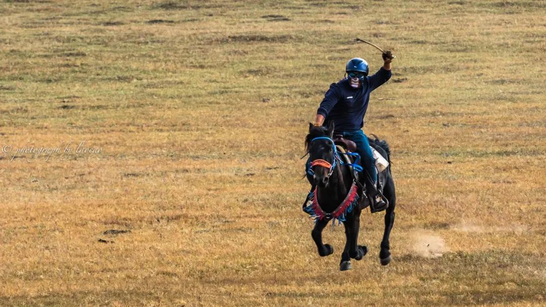 坝上秋色之金色草原,坝上金色草原风景