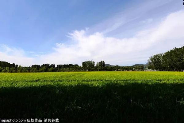 10月北京最佳小众旅行地！绝不能错过的秋色，到底有多美？