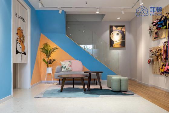 广州菲顿宠物线下康复靠谱吗,菲顿宠物