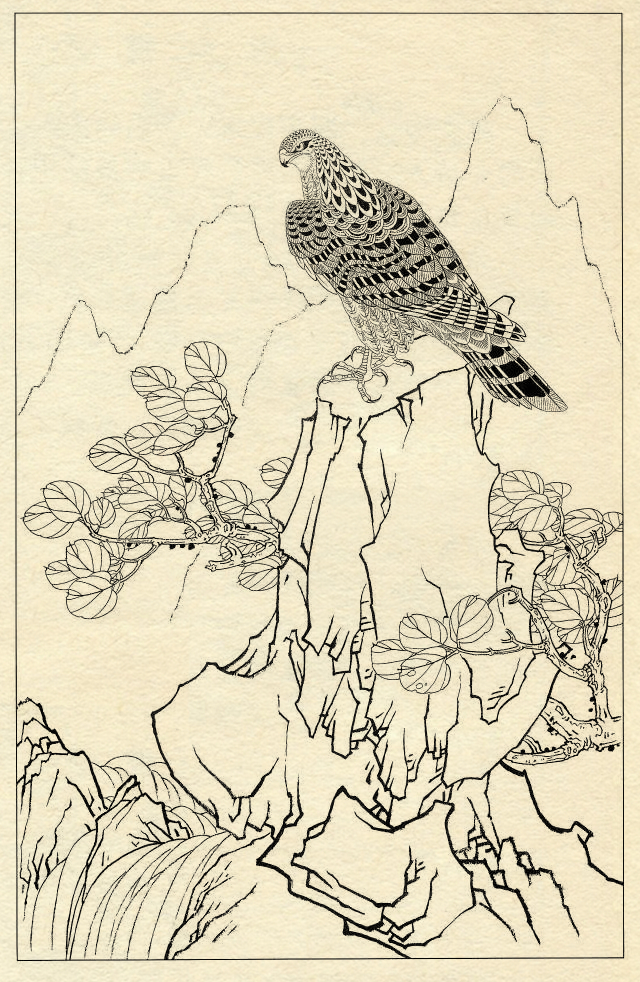 鹰的工笔底稿白描大图,白描鹰的画法图片