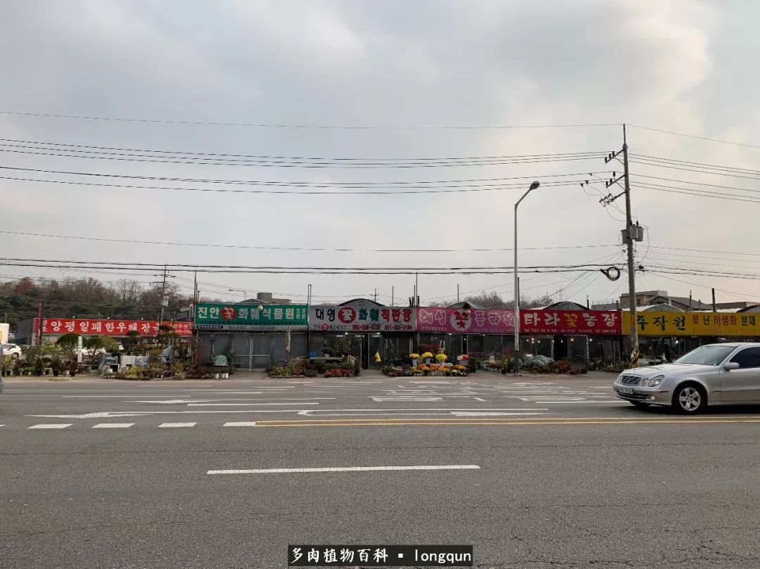 探访韩国肉锥大棚,记一次走访纪录片