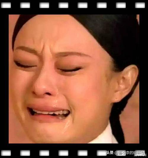 当了白狼王,又想当馒头王——小骚骚你真是个小机灵鬼