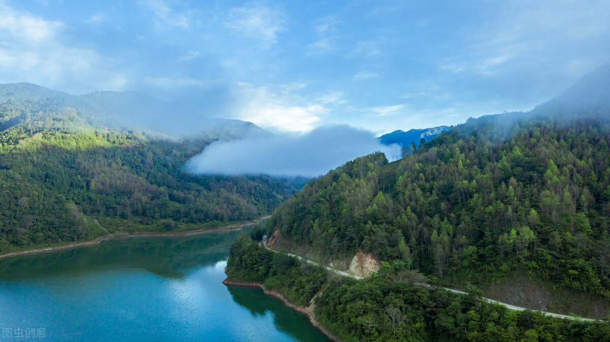 老挝最好的普洱茶,易武之巅顶级普洱茶价格
