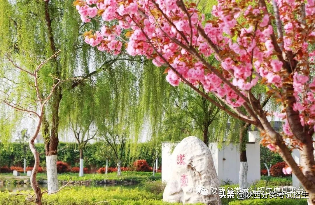 两汉三国，真美汉中|汉中职业技术学院