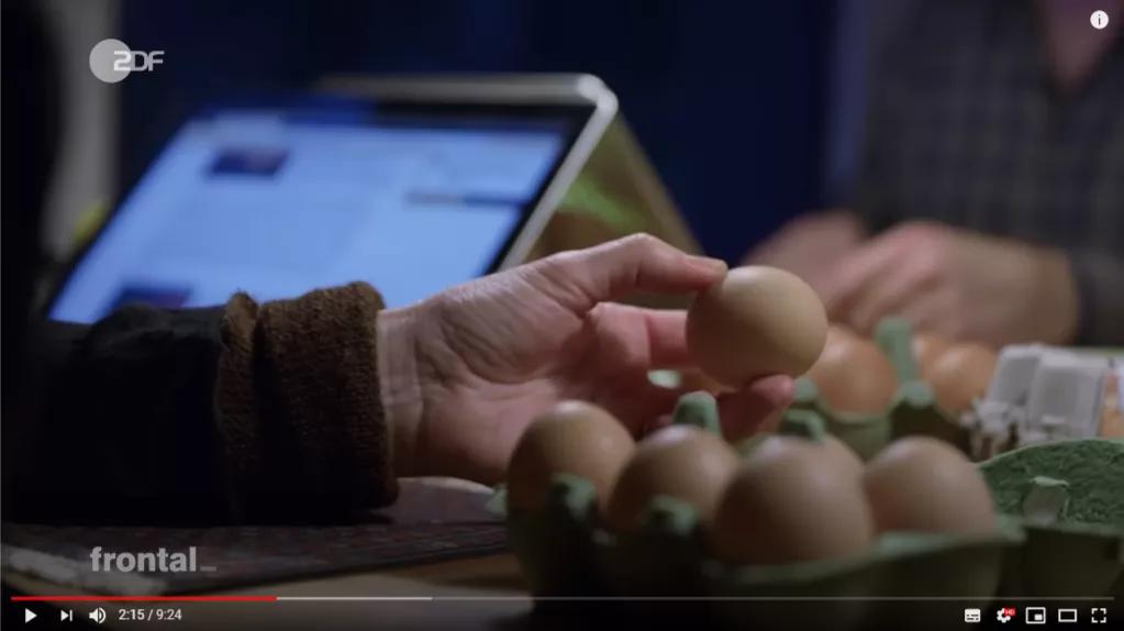 市场上的有机鸡蛋是真还是假,德国记者采访视频