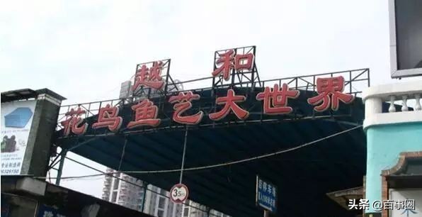 广州芳村,淡看悠然岁月情,认识广州芳村更多