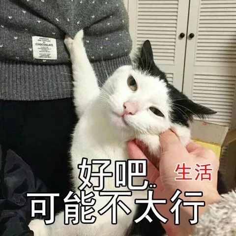 震惊！长春平均薪资6331元，竞争最激烈的行业竟是...