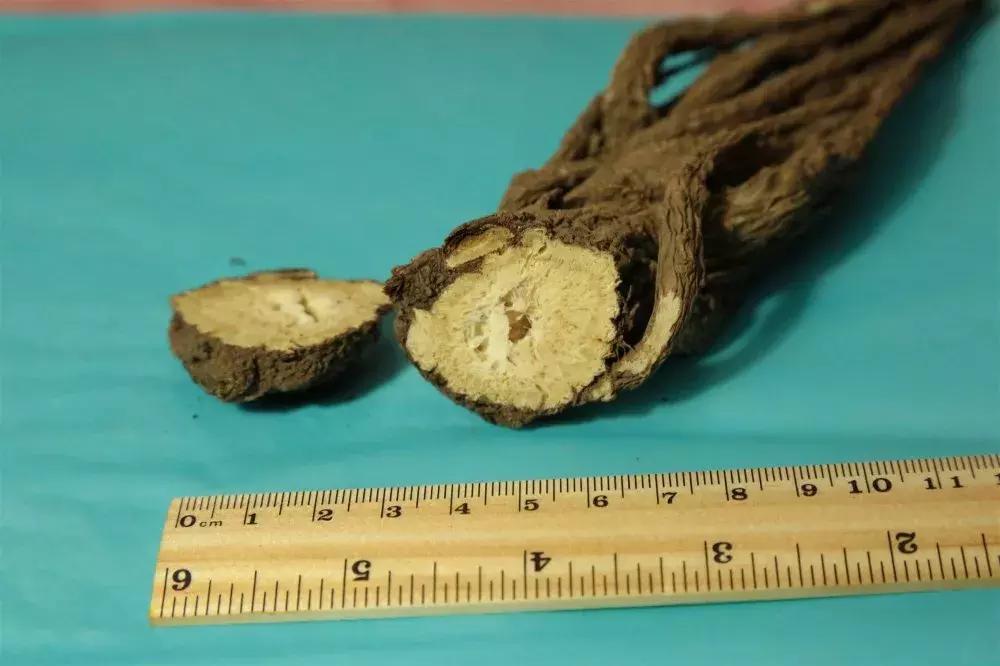 大部分人都吃错了燕麦,很多人吃错的食物