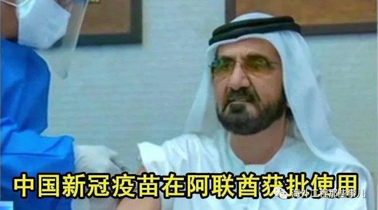 海外工程，疫情下的撤退和坚守