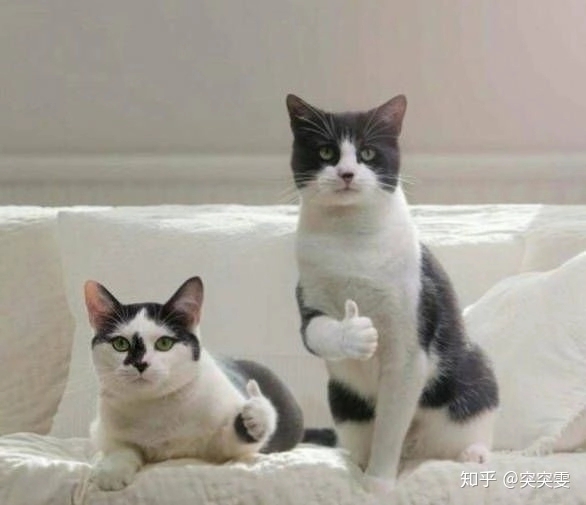 剑网三一套时装多少钱,剑网三什么属性的衣服好