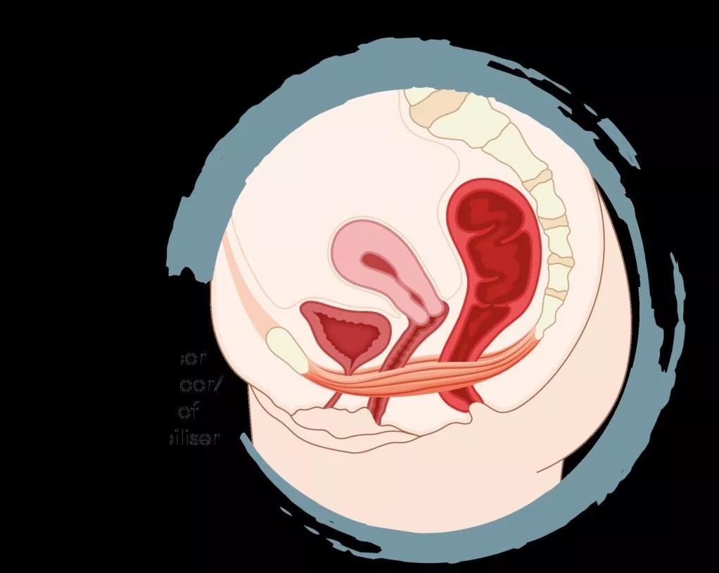 被吓哭的女孩完整版,被吓哭的女人