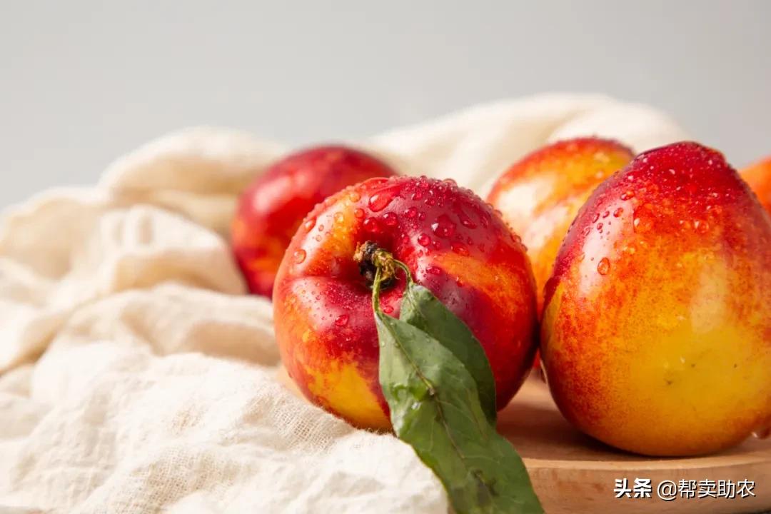 又脆又甜的油桃真好吃,油桃脆甜多汁爽口