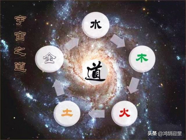 12生肖按照什么规则排序，老鼠为何排在第一？