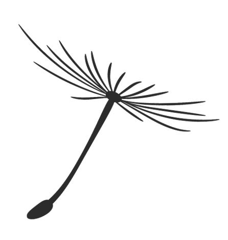 葫芦岛破获网络刷单诈骗案,刷单诈骗警方抓获