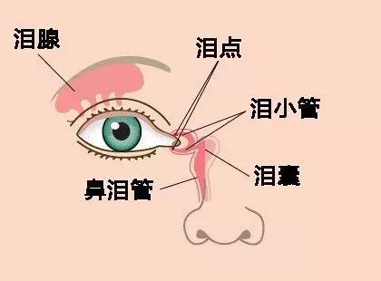 总是流眼泪，该怎么办？