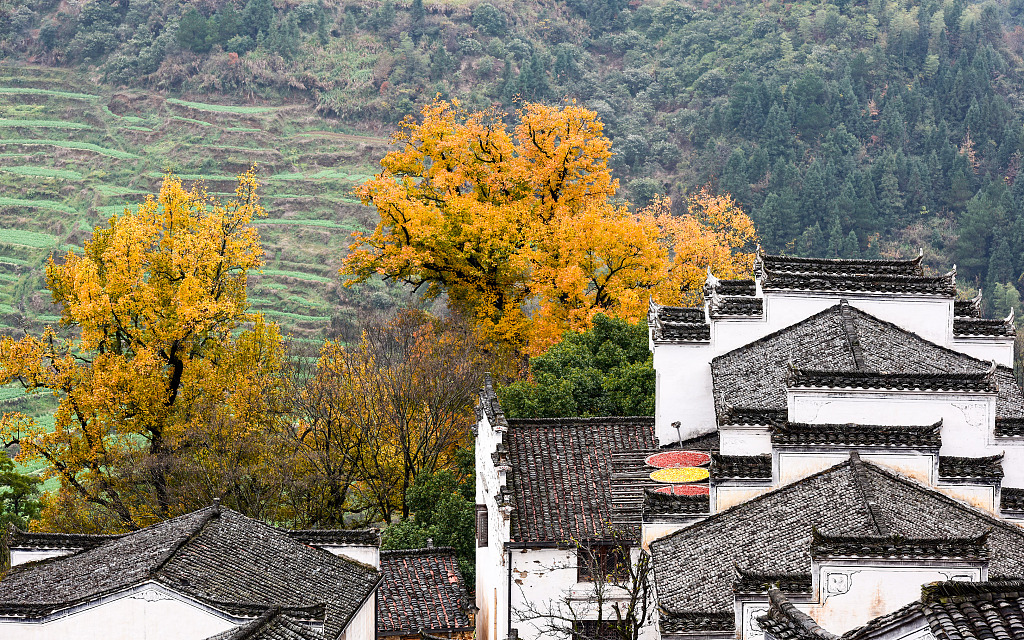 濠烘簮绡佸箔寰芥淳寤虹瓚浜虹敓鎰熸偀,濠烘簮绡佸箔鎰熸偀