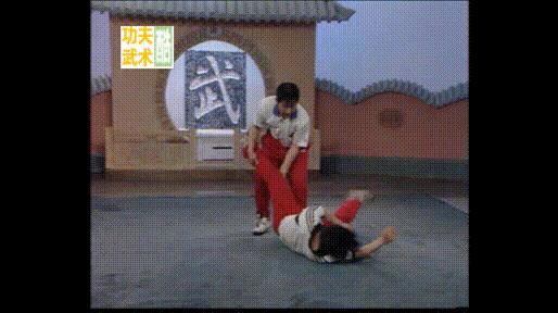 传武实战擂台一招制敌,中国跤四大技法