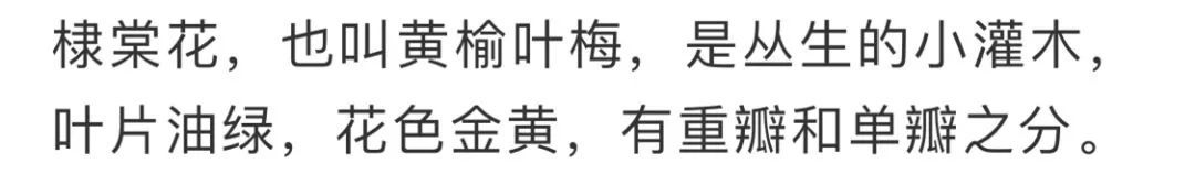 看到花的时候,不知是什么花?那就收下这份百花图谱