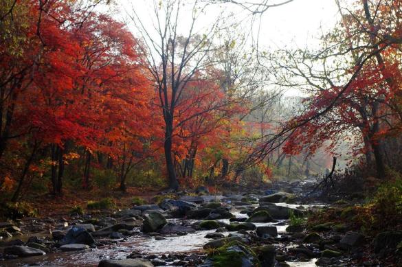 十一沿途风景,十一去红叶谷的景致