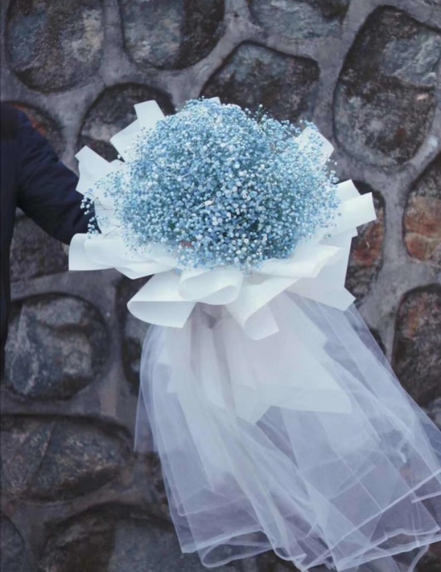 卫兰谁明浪子心现场版,王杰谁明浪子心现场版