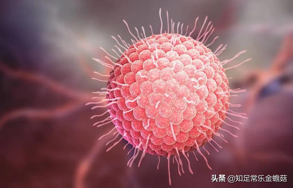 全身痒痒的小水痘,水痘痒痒的