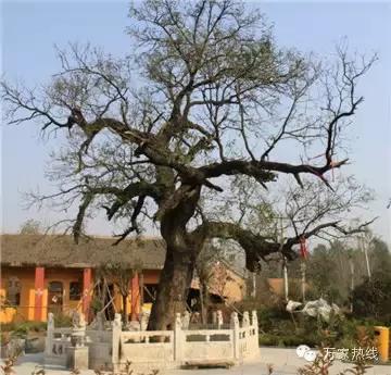 合肥最值得去的古村落景区,合肥千年古镇5a景点