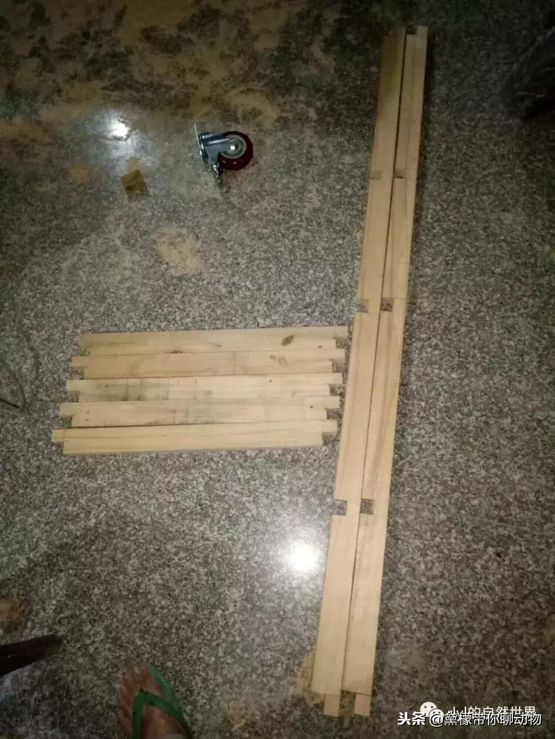 丛林造景黄缘龟池设计图大全,龟宝宝黄缘龟生态缸造景教程