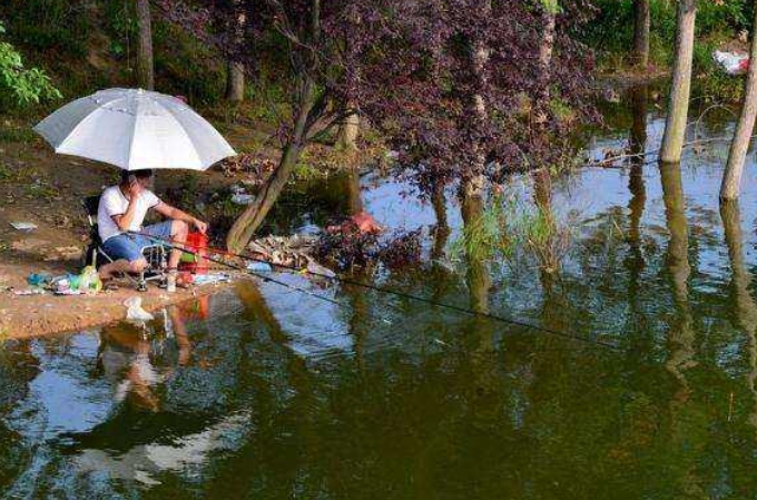 大板鲫居然被这样钓出来了,夏季野生超级大板鲫怎么开饵