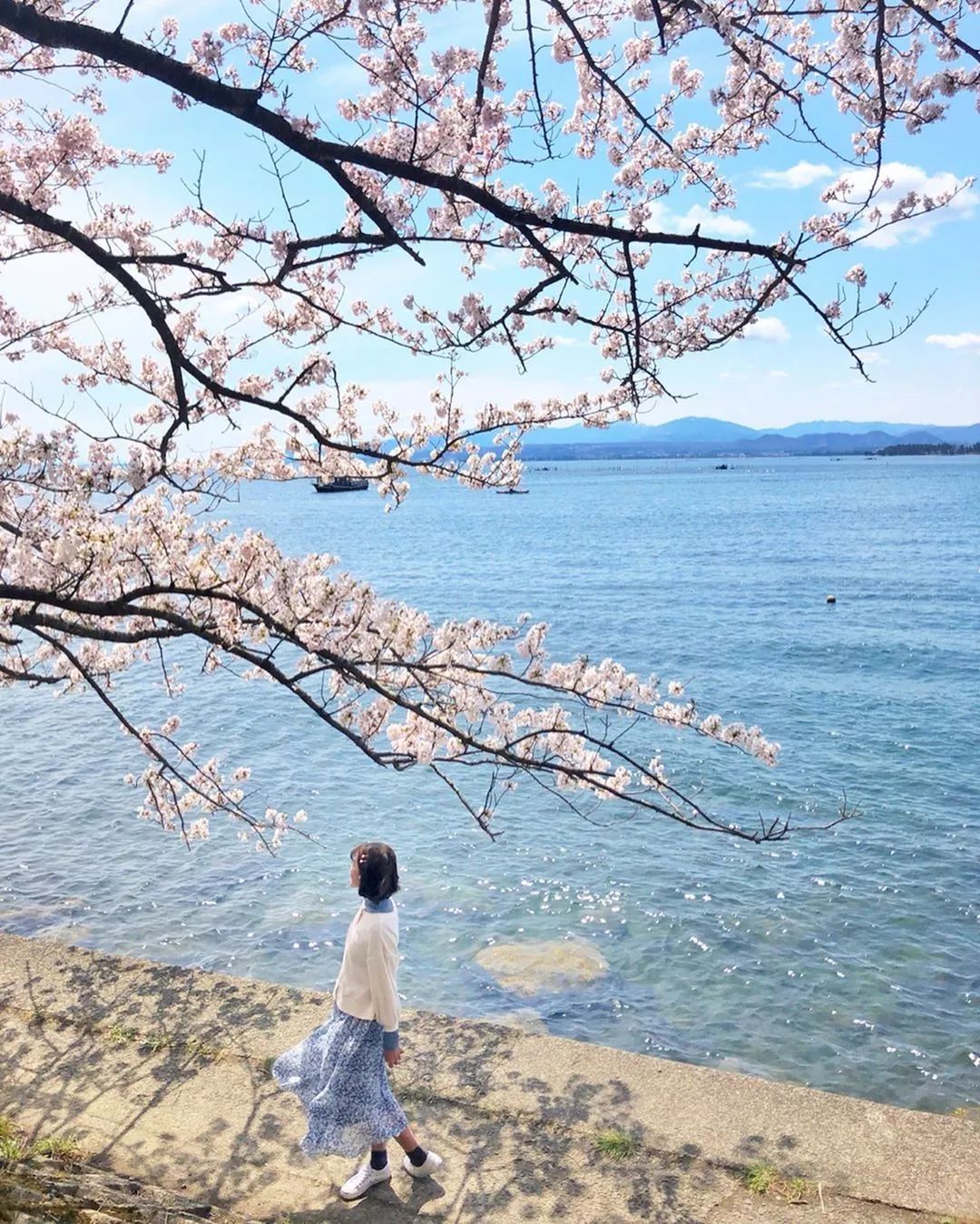 名古屋附近值得去的地方,名古屋附近有好玩的地方吗