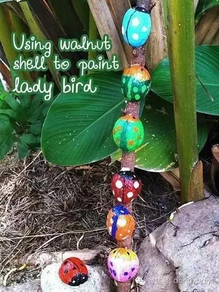 坚果壳艺术品,坚果壳能拿来做什么