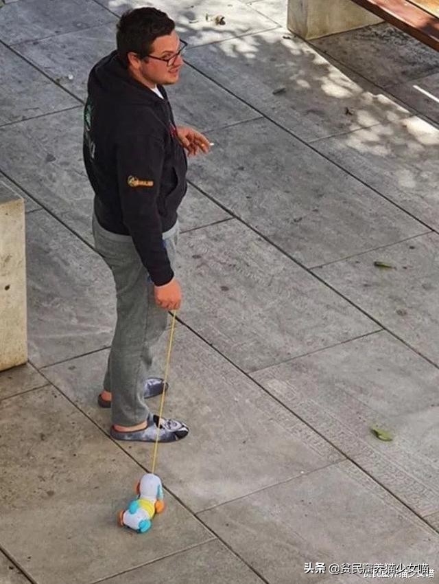 西班牙宠物狗被遛30次,西班牙狗狗一天被遛28次