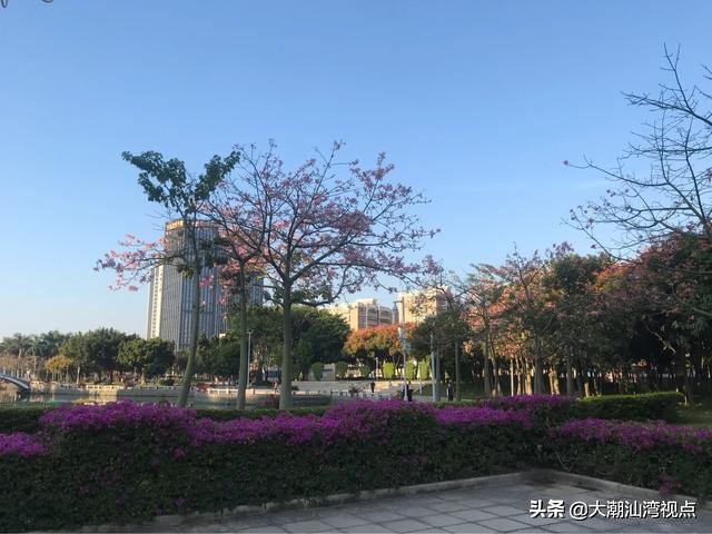 汕头星湖公园电话号码,请问汕头星湖公园有教人跳舞的吗