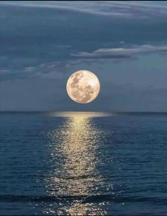 直播中国诗词大会中秋诗会,诗词大会中秋晚会直播