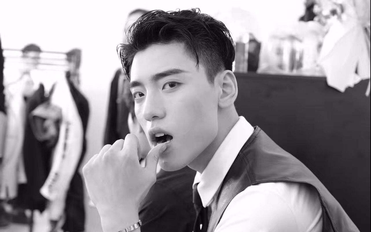 邓伦刘昊然易烊千玺新生代各省省草你喜欢哪一只？