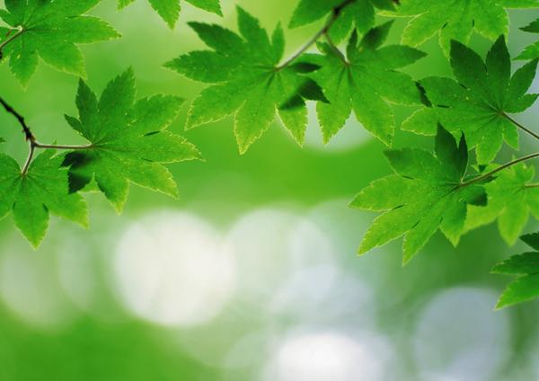 我从健康到微跛，到拄手杖，到拄双拐，再到坐轮椅的大半生