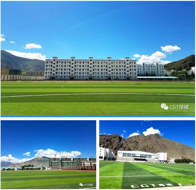 国外人造草坪足球场,高端人造草足球场